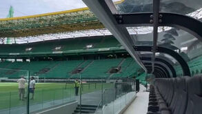 Torcida Verde critica Alvalade 2.0: «Dizemos não ao modelo que promove distanciamento social entre adeptos»