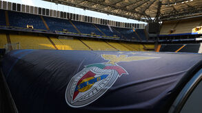 O onze do Benfica para o jogo com o Fenerbahçe: Aktürkoglu é titular nas águias