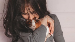 Mulher demonstra afeto por um porquinho-da-índia