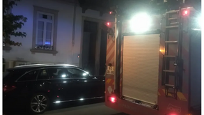 Gato liga placa de indução e causa fogo em Coimbra