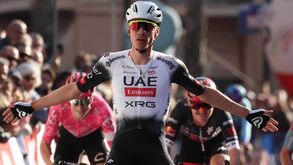 Ayuso: «Se puder ser uma aposta para a equipa na Vuelta, perfeito, se não, vou dedicar-me a ajudar João Almeida»