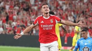 Ivanovic marca e festeja