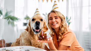 Dia Mundial do Cão: Ideias para celebrar com o patudo