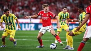 Schjelderup durante o Benfica-Tondela, no Estádio da Luz