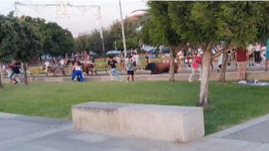 Um participante em estado grave e transportado para o Hospital de São José