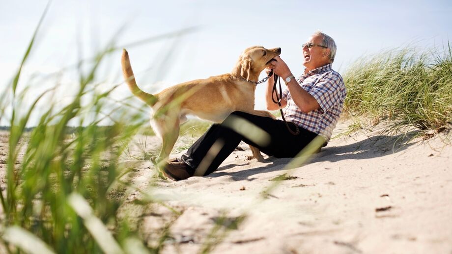 Homem brinca com cão na praia num dia de sol