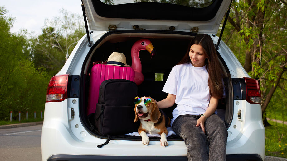 Ainda vai de férias com o patudo? Estas são as 5 dicas que vão ajudá-lo a ter uma viagem santa!