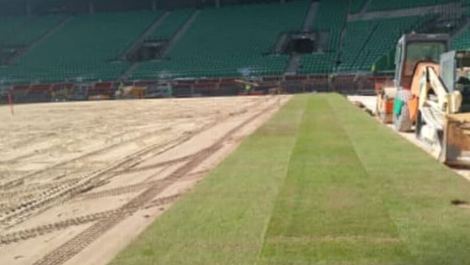 Tiras do novo relvado do Estádio José Alvalade