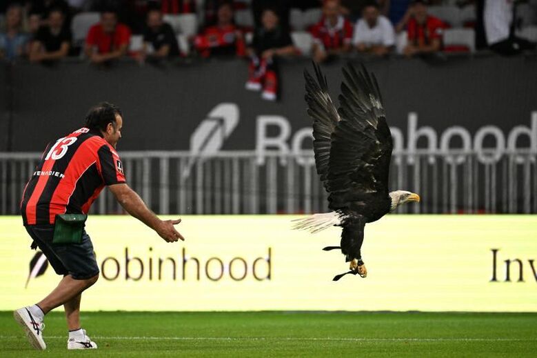 Águia também é símbolo e voa no Nice