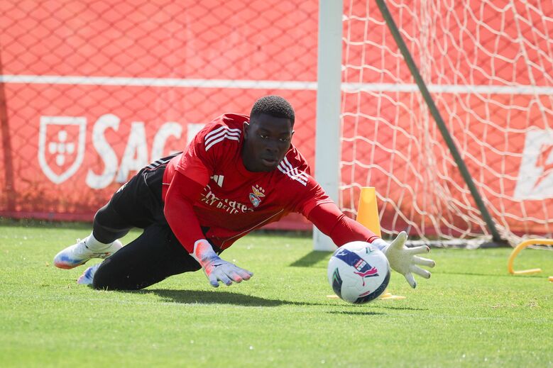 Imagens do treino do Benfica