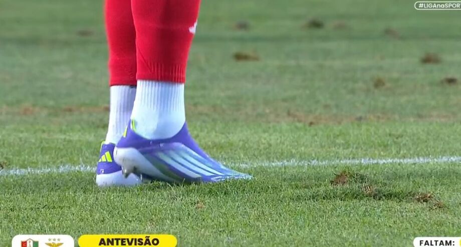 Pavlidis e Schjelderup queixaram-se do relvado do José Gomes