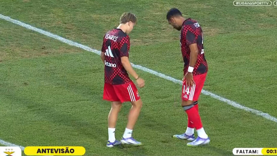 Pavlidis e Schjelderup queixaram-se do relvado do José Gomes