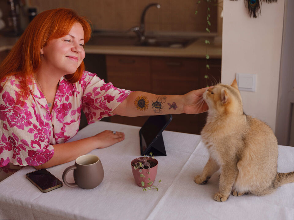 Beber um café enquanto faz festinhas a um gato? Conheça estes 2 "cat cafés"