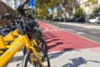 Bicicletas amarelas "Oeiras Move" estacionadas junto à ciclovia