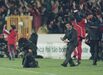 Mourinho celebra um dos golos ao Sporting num jogo na Luz