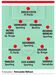 A equipa de Fernando Nélson