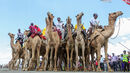 Participantes competem em corrida de camelos