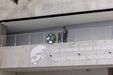 Homenagens 132 anos de FC Porto