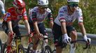 Vingegaard, João Almeida e Ivo Oliveira na 19.ª etapa da Vuelta