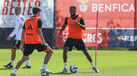 Lukebakio treina com o plantel do Benfica