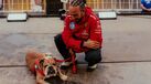 Lewis Hamilton com o seu bulldog, Roscoe