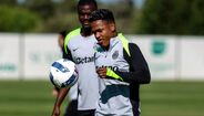 Diomande e Geny Catamo regressam aos treinos do Sporting em Alcochete