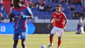 Benfica paga mais 12 milhões por Enzo Barrenechea em breve: as 