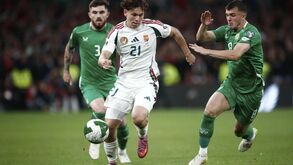 Jogo entre a Irlanda e a Hungria