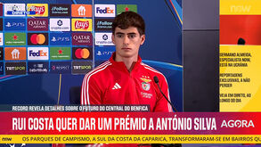 António Silva e Tomás Araújo como dupla de centrais: o sonho de Rui Costa para o Benfica