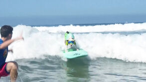 Competição de surf para cães mais antiga do mundo celebra 20 anos