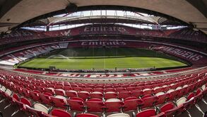 Naming do Estádio da Luz e as propostas de compra de direitos televisivos que chegaram ao Benfica