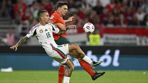 Palhinha: «Não é preciso dizer o quão especial seria ganhar o Mundial e poder dedicá-lo ao nosso Diogo»