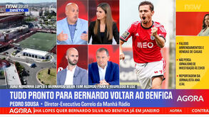 Pedro Sousa e o acordo de Noronha com Bernardo Silva: «É um desafio para Rui Costa»