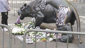 Homenagem: estátua da pantera junto ao Estádio do Bessa palco de tributo a Dinis