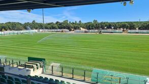 Sporting termina mais uma obra: relvado do Estádio Aurélio Pereira já está colocado