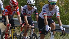 Vingegaard, João Almeida e Ivo Oliveira na 19.ª etapa da Vuelta