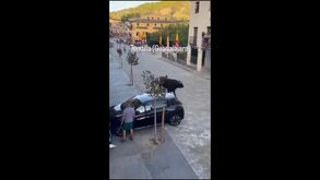Touro à solta destrói carro em garraiada espanhola