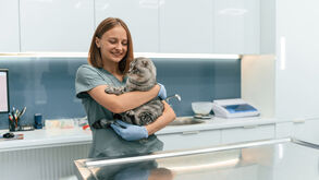 O seu pet fica stressado sempre que chega a hora de ir ao veterinário? Perceba como ajudá-lo a acalmar-se