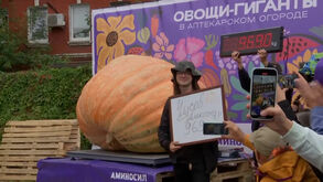 Agricultor russo bate recorde com abóbora gigante de quase uma tonelada  