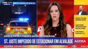 Presença de St. Juste no camarote causa incómodo: os motivos para esse desconforto
