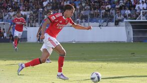 Dedic, jogador do Benfica