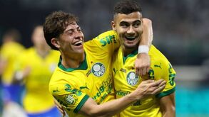 Palmeiras vence Fortaleza e é segundo no Brasileirão 