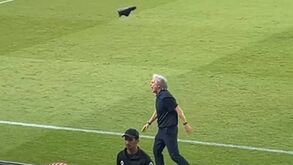 Jorge Jesus irrita-se com adepto e até perde... um sapato