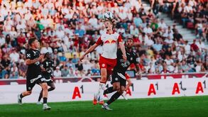 A análise de Rui Malheiro ao RB Salzburgo: touros feridos