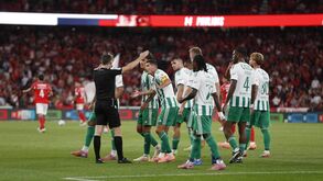 O árbitro no Benfica-Rio Ave
