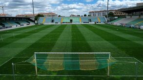 Estádio do Tondela com novo relvado para a receção ao Sporting