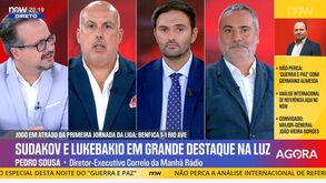 A discussão sobre o papel de Mário Branco no Benfica: diretor geral, desportivo e de scouting?