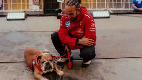 Lewis Hamilton pede aos fãs que rezem pelo seu bulldog