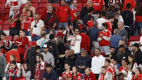 Maioria das emissões de carbono do Benfica provém das deslocações de adeptos: quase 80% vai para a Luz de carro