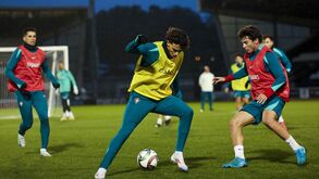 Rui Costa: da 